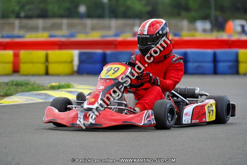 DSC_ (1535).jpg